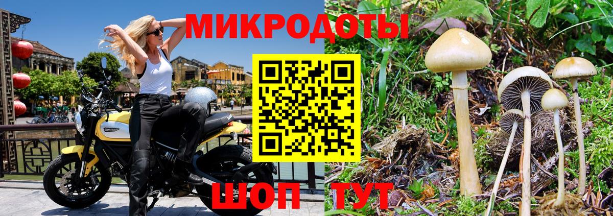Галлюциногенные грибы Magic Shrooms Лосино-Петровский