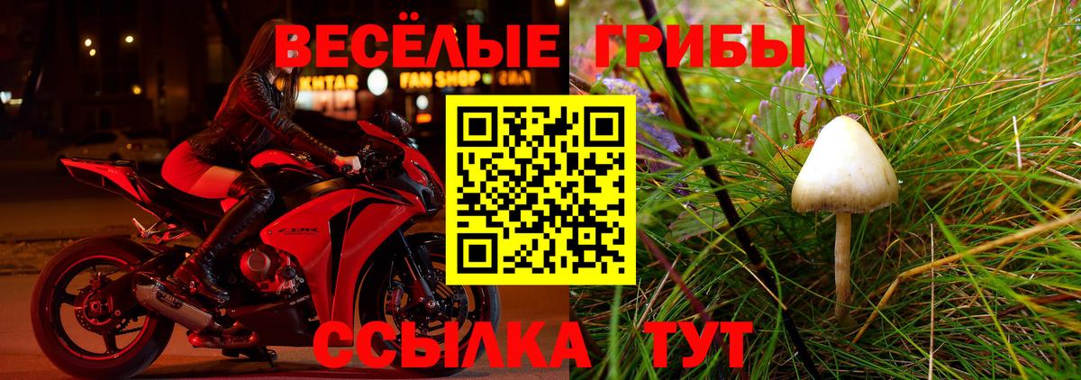 Псилоцибиновые грибы Psilocybe  Вход с VPN  Лосино-Петровский  Псилоцибиновые грибы ЛСД 